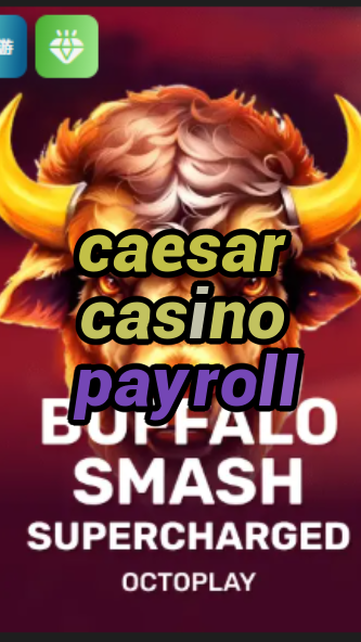 caesar casino payroll-w4cy2mdjlx2bf.com